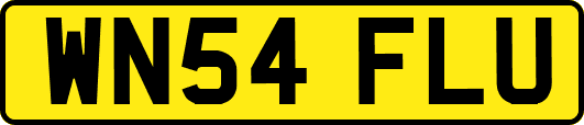 WN54FLU