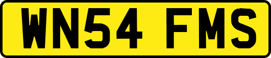 WN54FMS