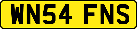 WN54FNS
