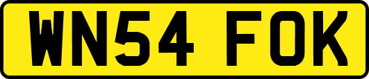 WN54FOK