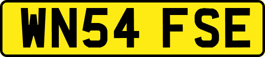 WN54FSE