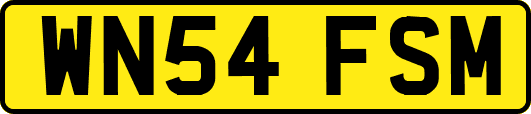 WN54FSM
