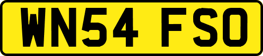 WN54FSO