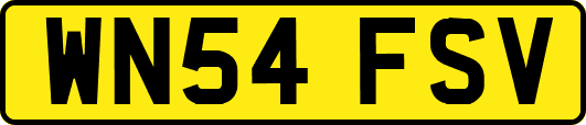 WN54FSV