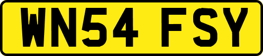 WN54FSY