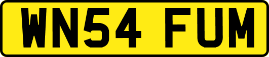 WN54FUM