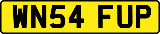 WN54FUP