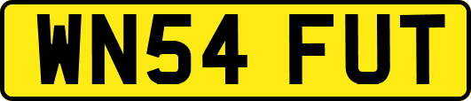 WN54FUT