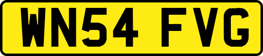 WN54FVG