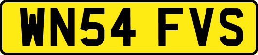 WN54FVS