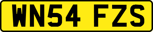 WN54FZS