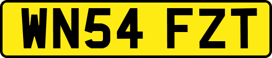 WN54FZT
