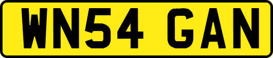 WN54GAN