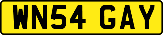 WN54GAY