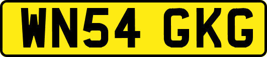 WN54GKG