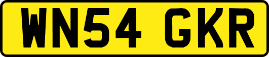 WN54GKR
