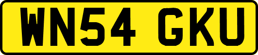 WN54GKU