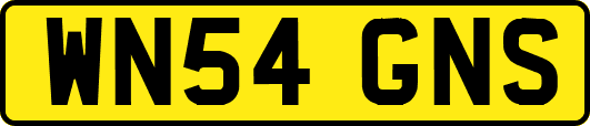 WN54GNS