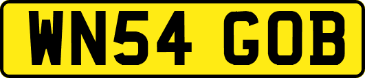 WN54GOB