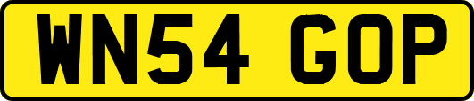 WN54GOP