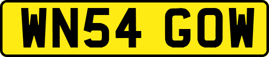 WN54GOW