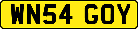 WN54GOY
