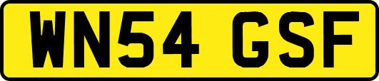 WN54GSF