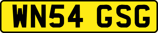 WN54GSG