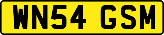 WN54GSM
