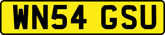 WN54GSU