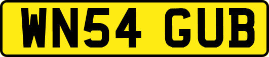 WN54GUB