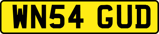 WN54GUD