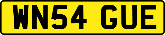 WN54GUE