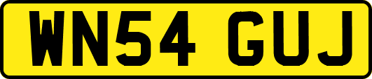 WN54GUJ