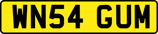 WN54GUM