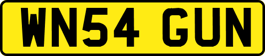 WN54GUN