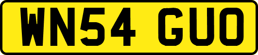 WN54GUO