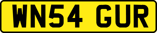 WN54GUR
