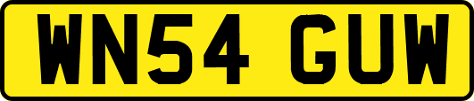 WN54GUW