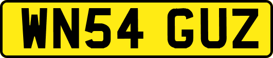 WN54GUZ