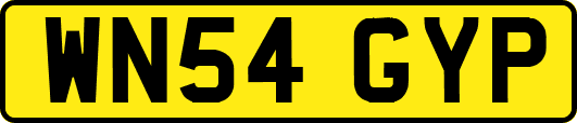 WN54GYP