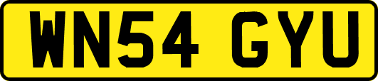 WN54GYU