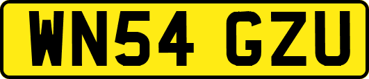 WN54GZU