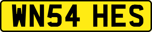 WN54HES