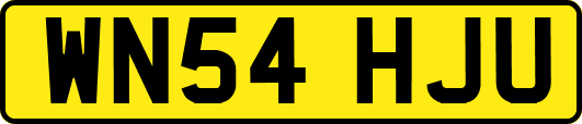 WN54HJU