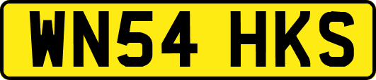 WN54HKS