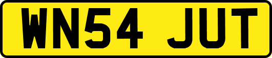 WN54JUT