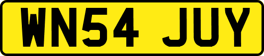 WN54JUY