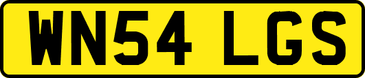 WN54LGS
