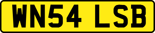 WN54LSB